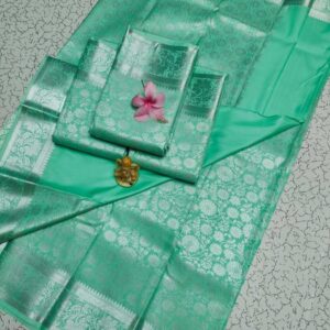 Elampillai Bridal Saree 008