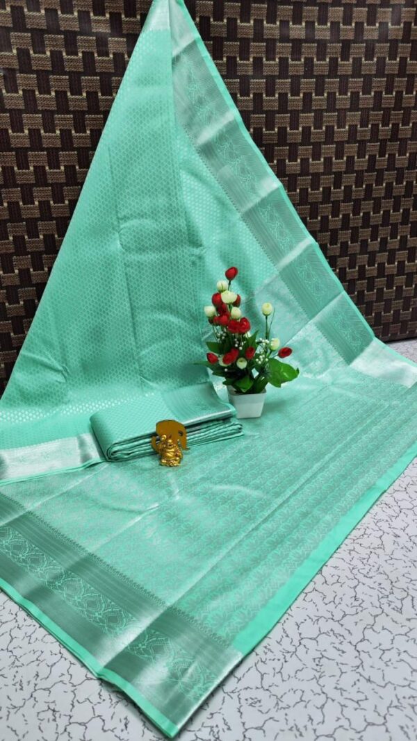 Elampillai Bridal Saree 024