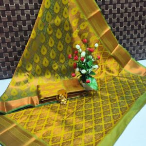 Elampillai Bridal Saree 031
