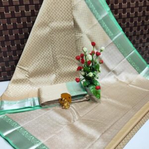 Elampillai Bridal Saree 036