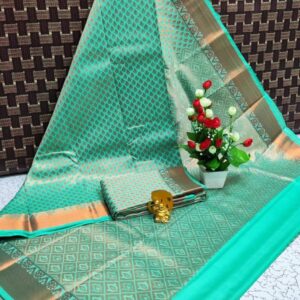 Elampillai Bridal Saree 045